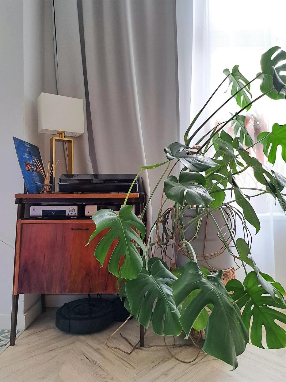 Bohema Apartement With Private Parking Torun Exterior photo